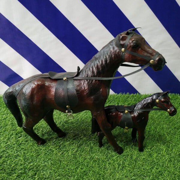 A Horse and a Colt